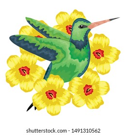 hummingbird whit flowers vector illustration