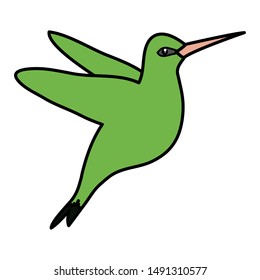 hummingbird whit flowers vector illustration