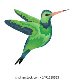 hummingbird whit flowers vector illustration