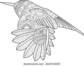Hummingbird Zentangle Line Art Illustration, Intricate black and white line art illustration of a flying hummingbird with decorative patterns, perfect for adult coloring books, art therapy, or