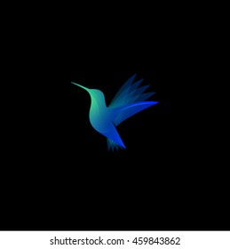 Colibri color transparente logo. emblema de Spa y resort.