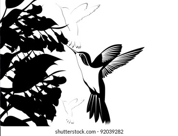 Hummingbirds around flowers. Black and white illustration.