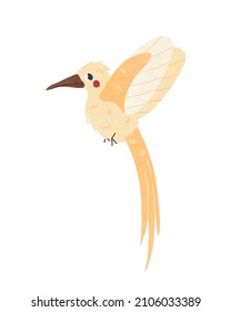 Hummingbirds bird doodle in cartoon style on white background. Vector illustration isolated.