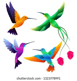 Hummingbirds collection. Exotic tropical little birds flying vector cartoon set