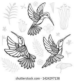 Hummingbirds with floral elements black birds in lines on white background tattoo sketch style. Hand drawn vector illustration.
