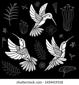 Hummingbirds with floral elements white birds flying on black background tattoo sketch style. Hand drawn vector illustration.
