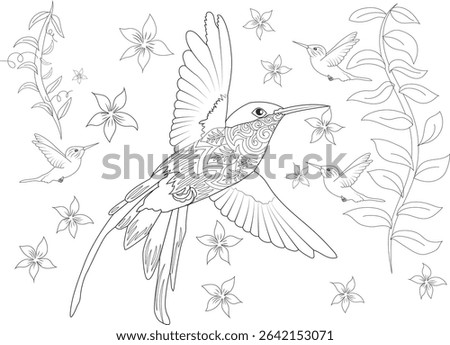 Hummingbirds and Flowers Line Art, Black and white line drawing illustration featuring multiple hummingbirds flying amongst flowering vines. Ideal for coloring books, educational materials, or
