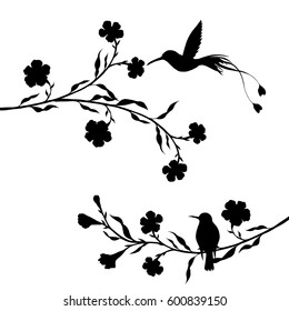 hummingbirds and flowers silhouettes, hand drawn flying birds and trees branches, isolated vector element