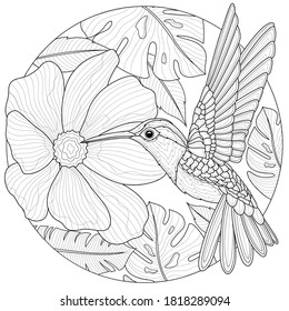 
Hummingbirds and flowers.Coloring book antistress for children and adults. Illustration isolated on white background.Black and white drawing.Zen-tangle style.