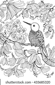 hummingbirds and flowers.outline drawing ,circling ,line drawing,monochrome .coloring pages for books