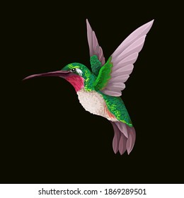 Hummingbirds isolated. Trendy vector print