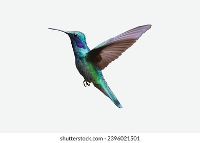 Hummingbirds isolated. Trendy vector print