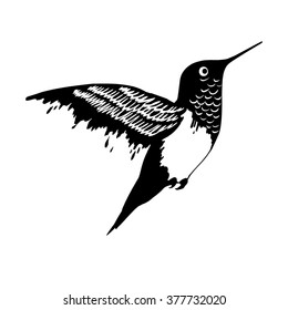 Hummingbirds. Isolated vector.Black and white illustration.