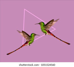 hummingbirds on triangle on pink background