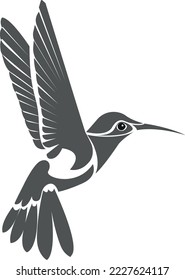 Silueta de colibríes. Ave exótica vectorial de ilustración aislada