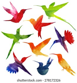 Hummingbirds Silhouette. watercolor illustration. isolated on white