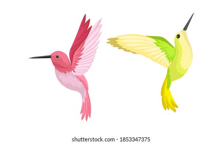 Pájaros húmedos como pequeños pájaros con alas golpeadoras y un conjunto de vectores de plumage luminoso
