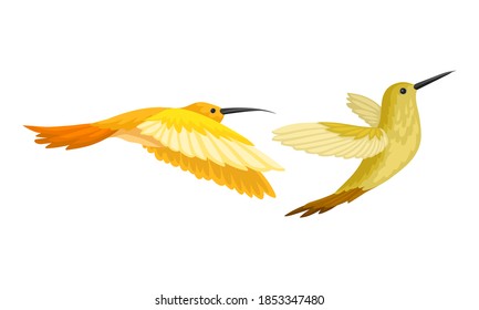Hummingbirds as Small Bird with Beating Wings and Bright Plumage Vector Set