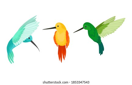 Hummingbirds as Small Bird with Beating Wings and Bright Plumage Vector Set