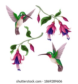 Hummingbirds and tropical flowers isolated. Trendy vector print.