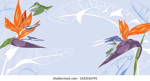 Hummingbirds and tropical plants, template for cards, invitations, posters, booklet, vector illustration