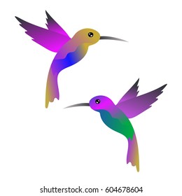 Hummingbirds vector  illustration