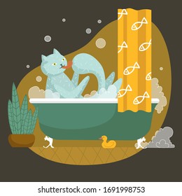 Humorous animal. Funny Cat in the bath. Washing in the foam. Isolated Vector illustration. Flat, cartoon style. Curtain with fish print. Plant. Duck toy. Bubbles, hygiene, self care, clean body. 