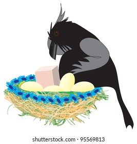 A humorous illustration of cartoon crow and his nest on a white background. Vector EPS 10