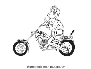 humorous vector illustration of turtle on a motorcycle with black and white colors.