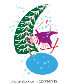 Humorous winter vacation holidays tee shirt print with blue snowflakes. Cartoon crazy cow goes skiing from the mountain and cuts into the fir tree. Book cover, post card, party invitation.