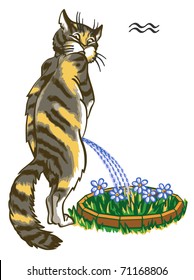 The humour zodiacal sign represented by mean of image of cat