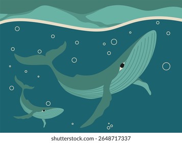 Humpback blue whale vector illustration