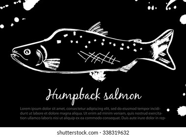 Humpback salmon. Vector isolated illustration. Ink. Hand drawn