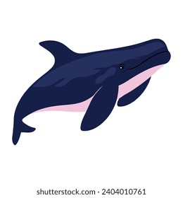 humpback sealife aquatic illustration isolated