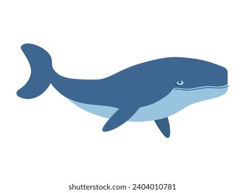 humpback sealife aquatic illustration isolated