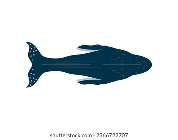 humpback sealife big isolated icon