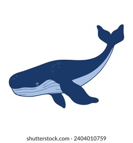 humpback sealife blue illustration isolated