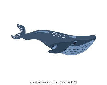 humpback sealife blue illustration vector isolated