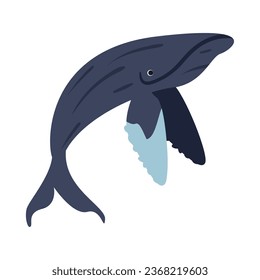 humpback sealife creature illustration isolated