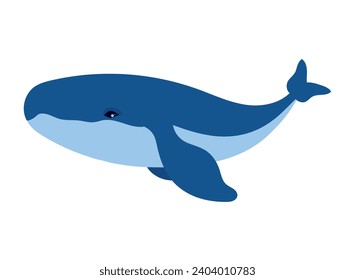 humpback sealife diving illustration isolated