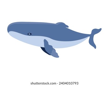 humpback sealife giant illustration isolated