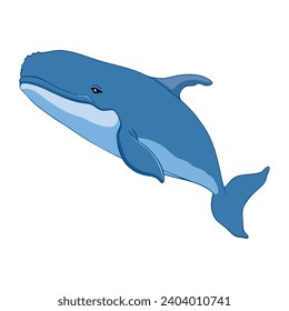 humpback sealife isolated illustration vector