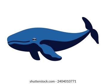 humpback sealife mammal illustration isolated