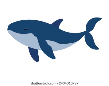 humpback sealife pacific ocean illustration