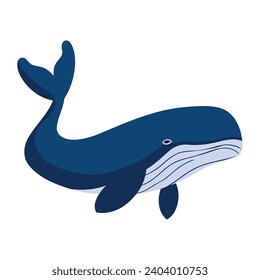 humpback sealife species illustration isolated