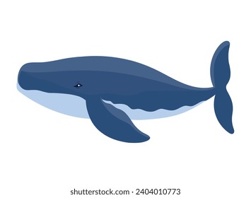 humpback sealife tropical illustration isolated