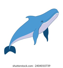 humpback sealife whale illustration isolated