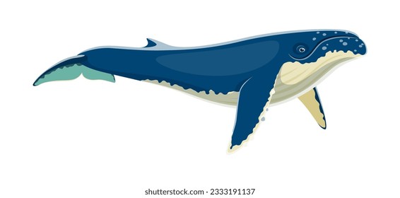 Carácter animal de ballena jorobada. Vector de caricatura aislado enorme mamífero marino con aleta dorsal y canciones melódicas respaldadas con humpesto. Habitan océanos, con un tamaño impresionante y una acrobacia submarina elegante