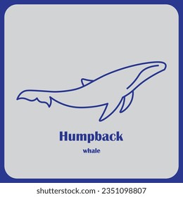 Humpback whale animal logo vector design.