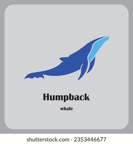 Humpback whale animal logo vector design.